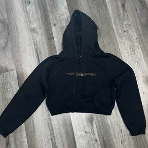 Alphalete crop hoodie